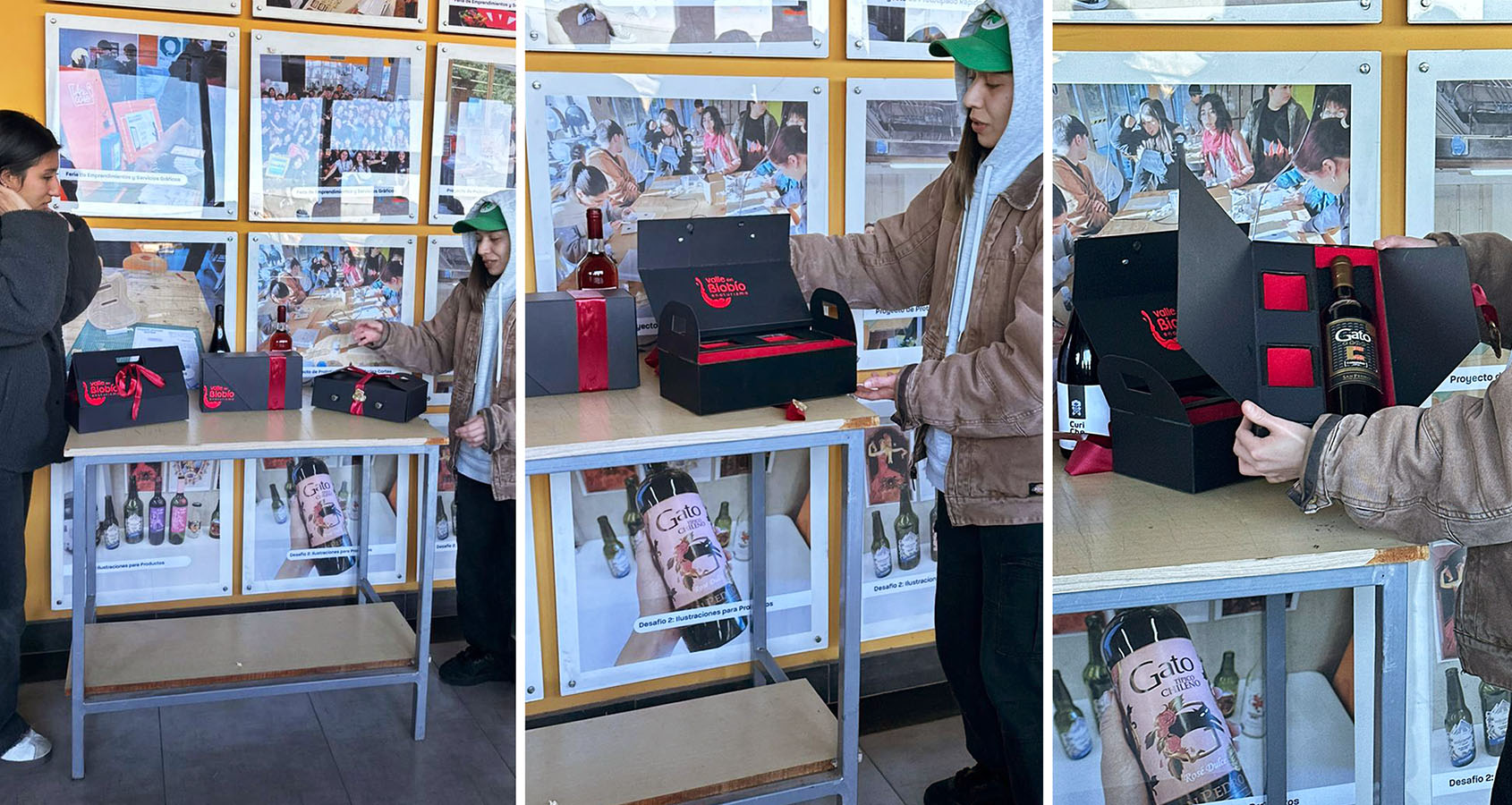 Diseño de Packaging Valle del Biobío