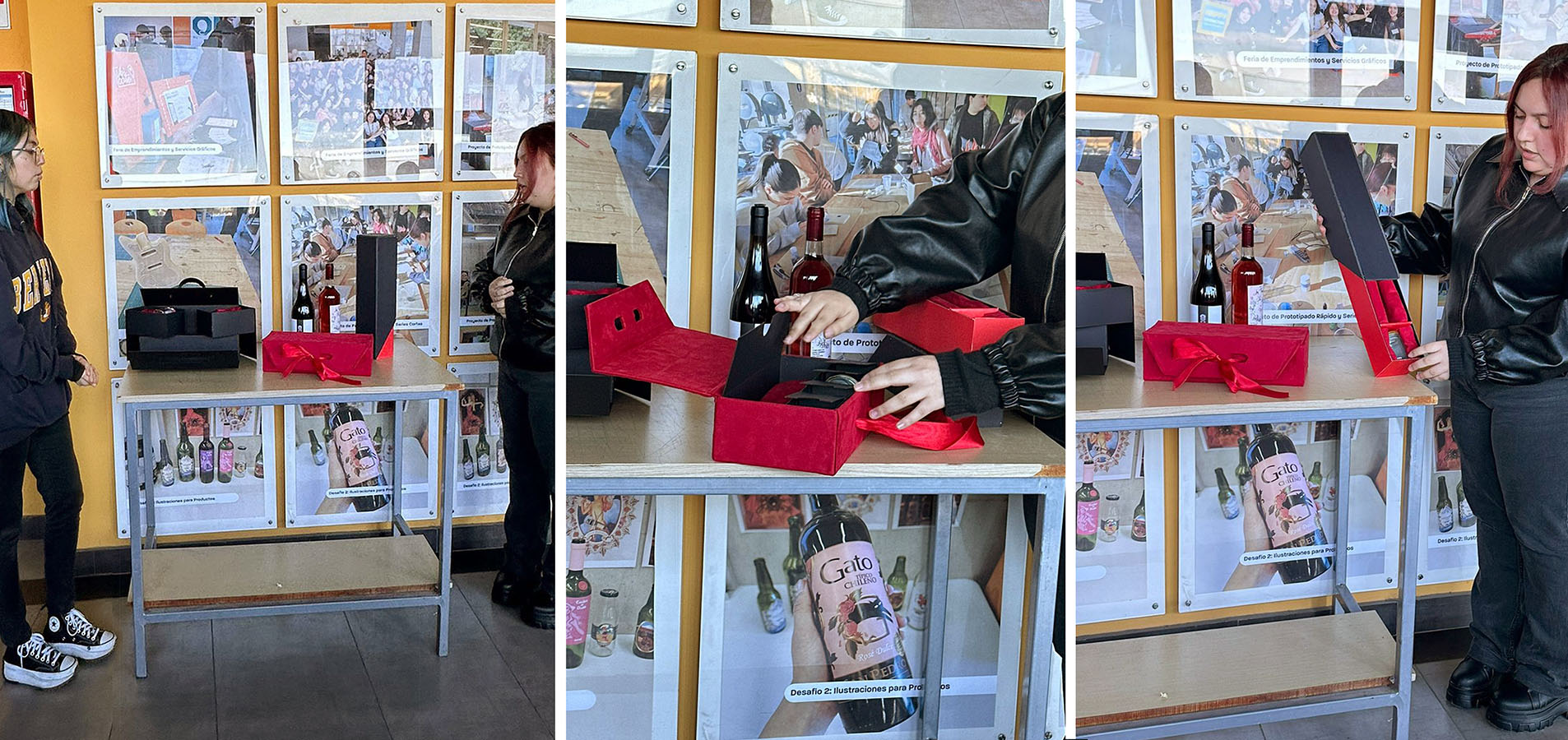 Diseño de Packaging Valle del Biobío