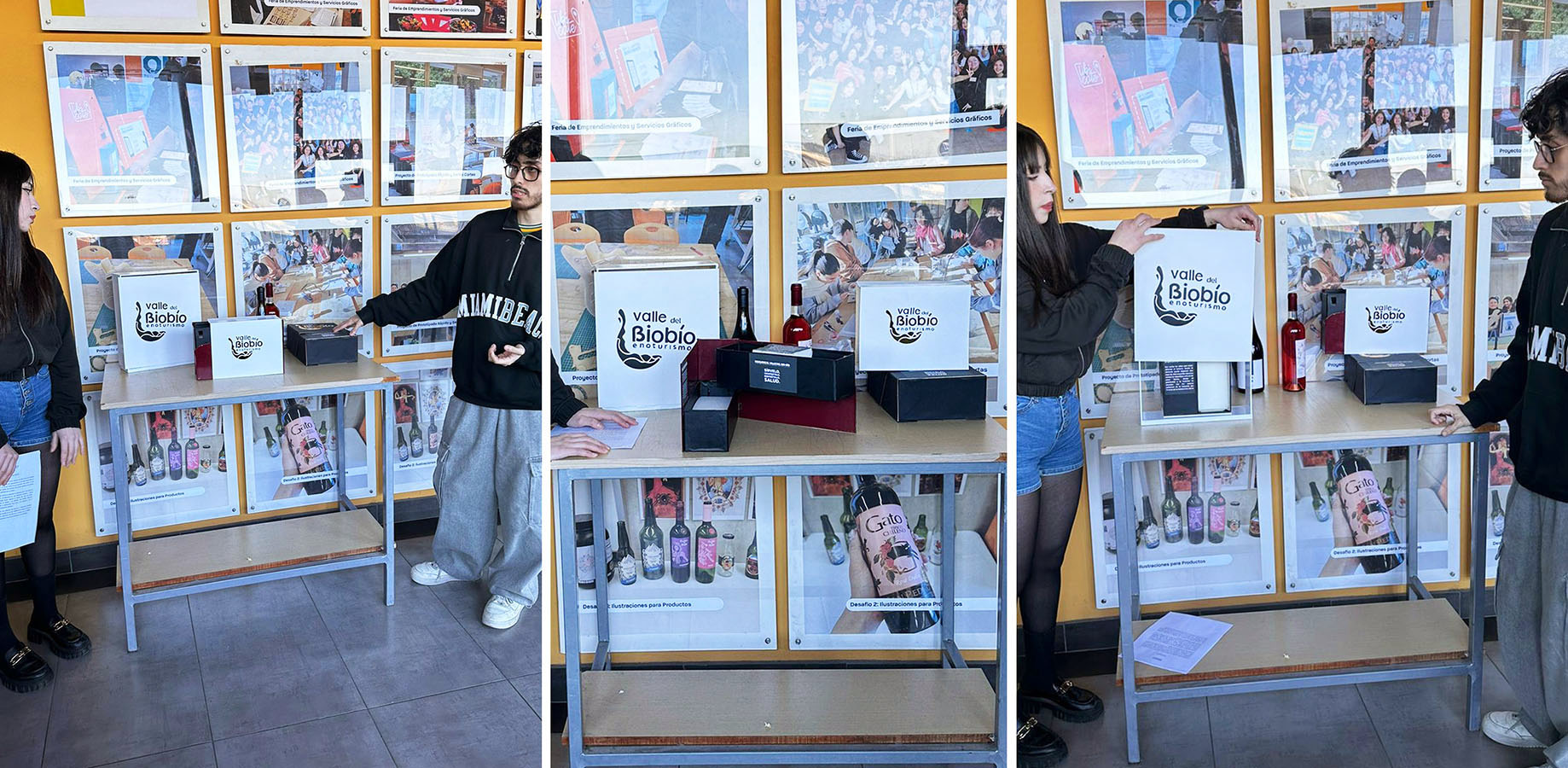 Diseño de Packaging Valle del Biobío