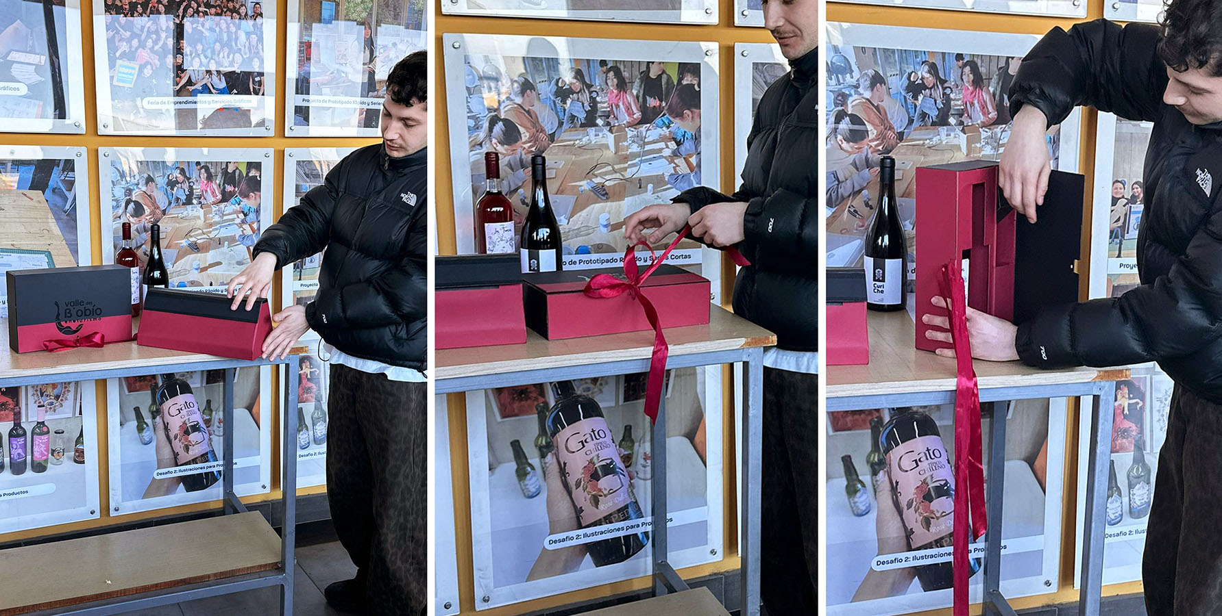 Diseño de Packaging Valle del Biobío