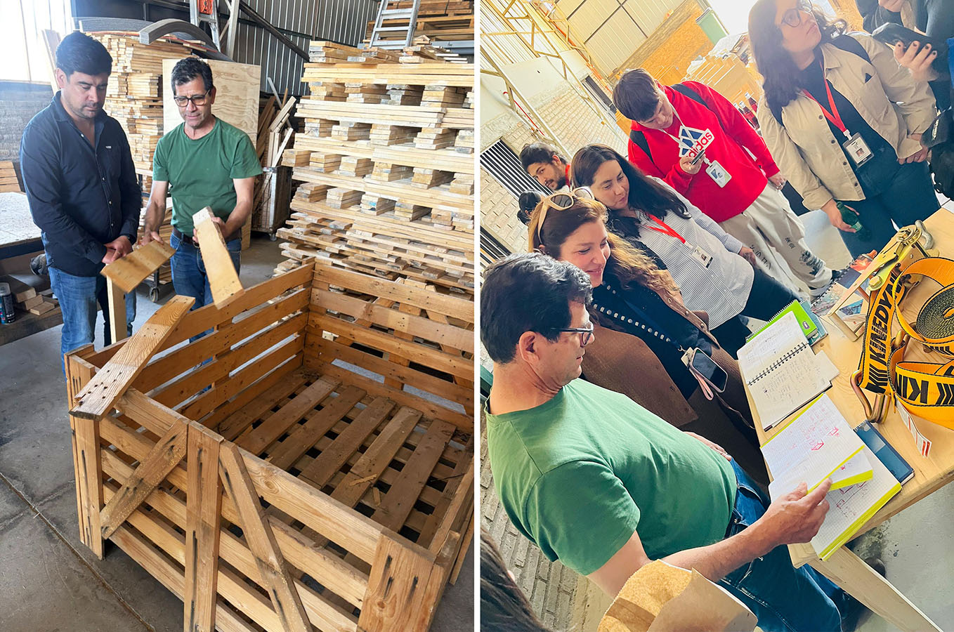 Nuevas líneas de Productos para Embalajes ASER