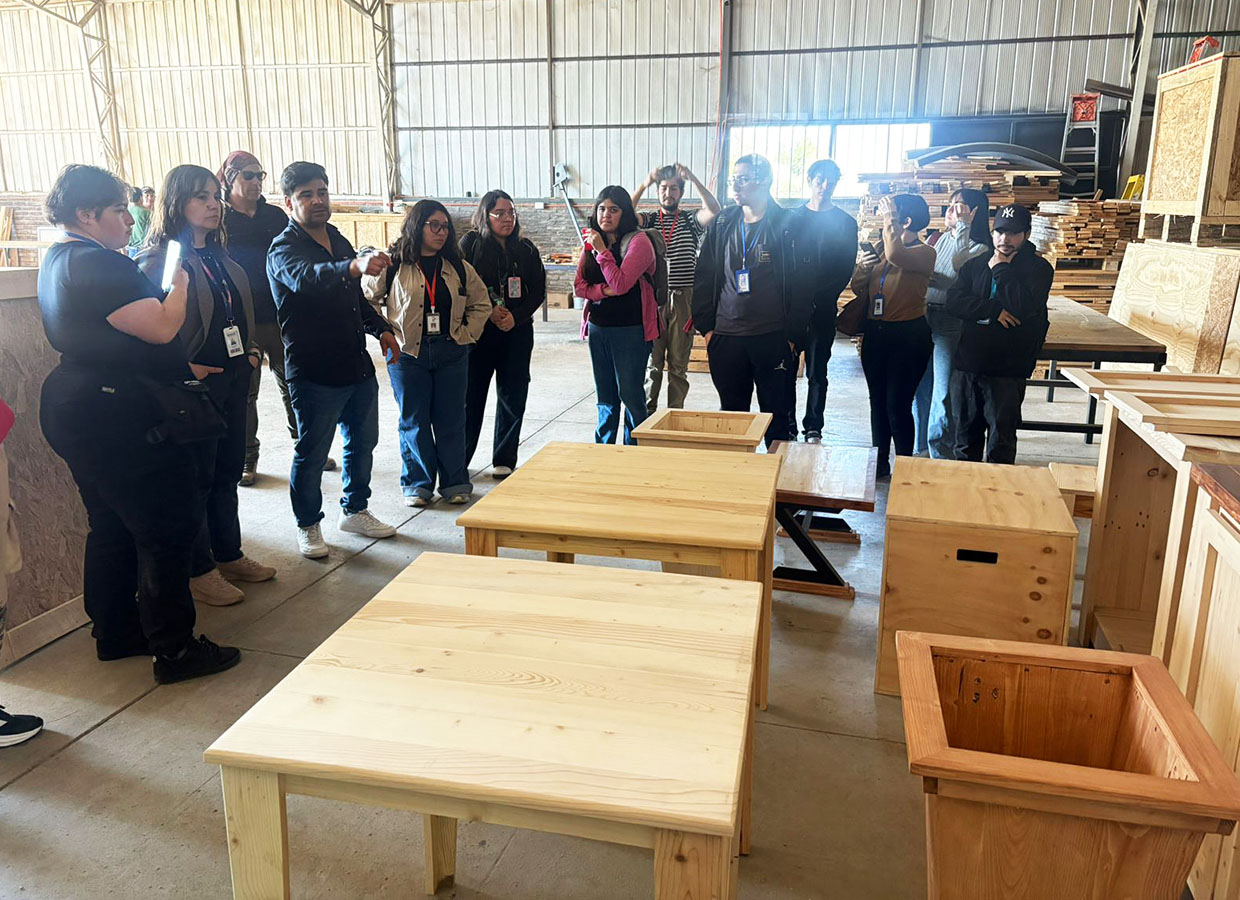 Nuevas líneas de Productos para Embalajes ASER