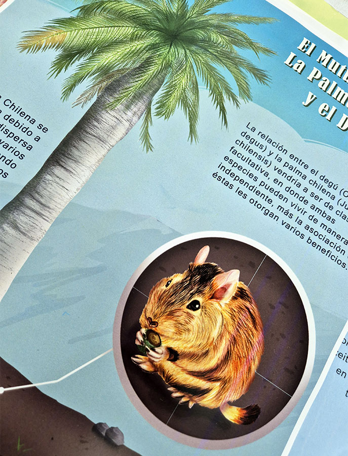 Láminas Flora y Fauna Nativa Jardín Botánico Nacional Viña del Mar