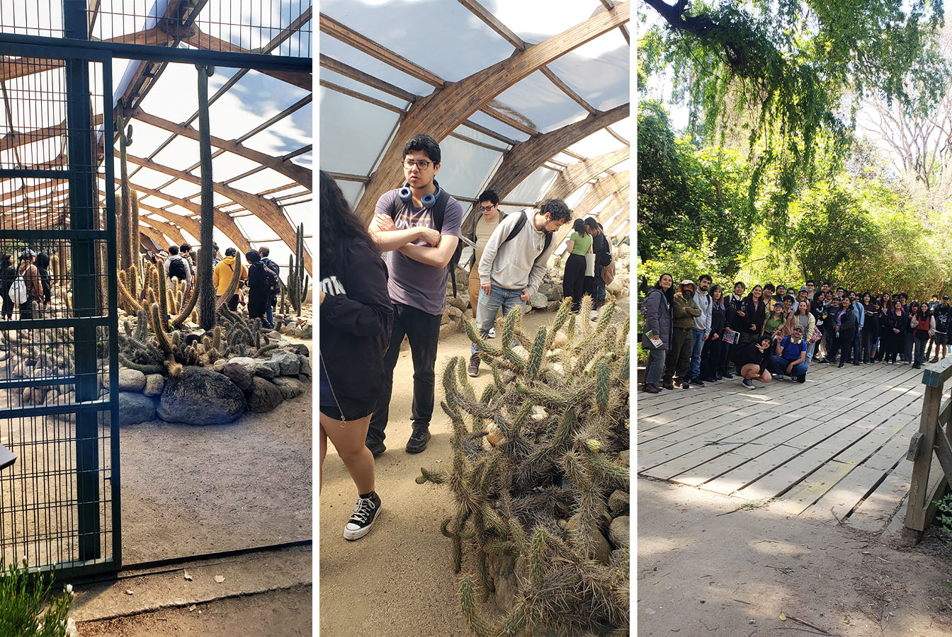 Láminas Flora y Fauna Nativa Jardín Botánico Nacional Viña del Mar