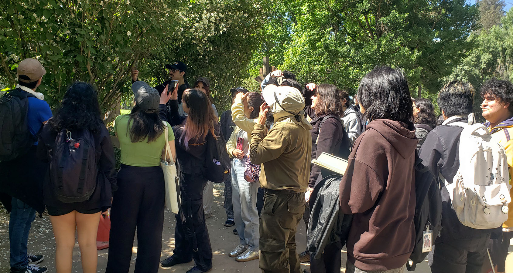 Láminas Flora y Fauna Nativa Jardín Botánico Nacional Viña del Mar