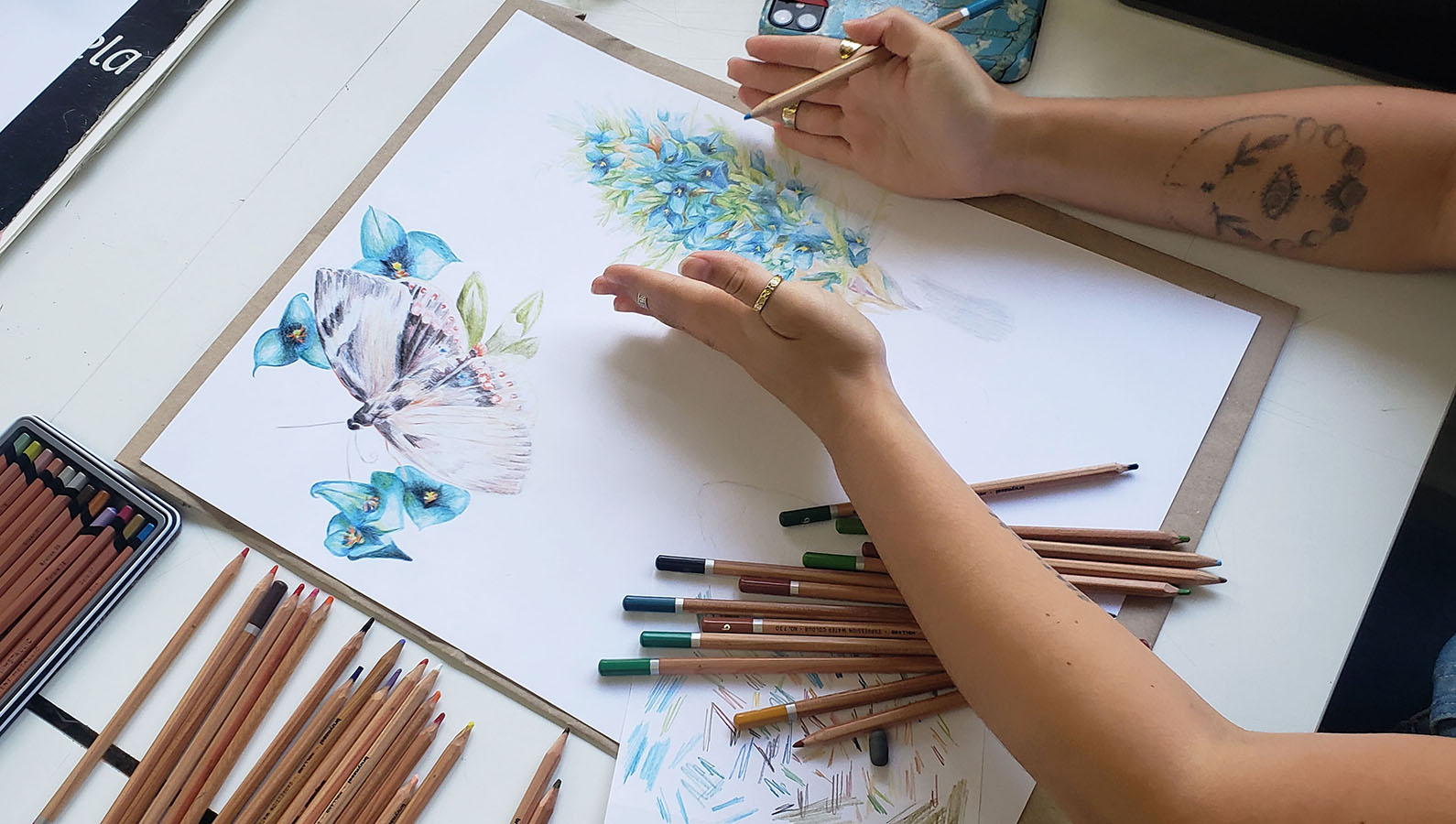 Láminas Flora y Fauna Nativa Jardín Botánico Nacional Viña del Mar