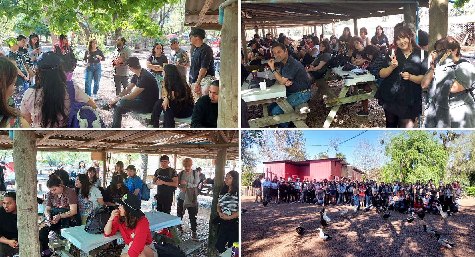 Señalética para Granja Educativa de Lonquén