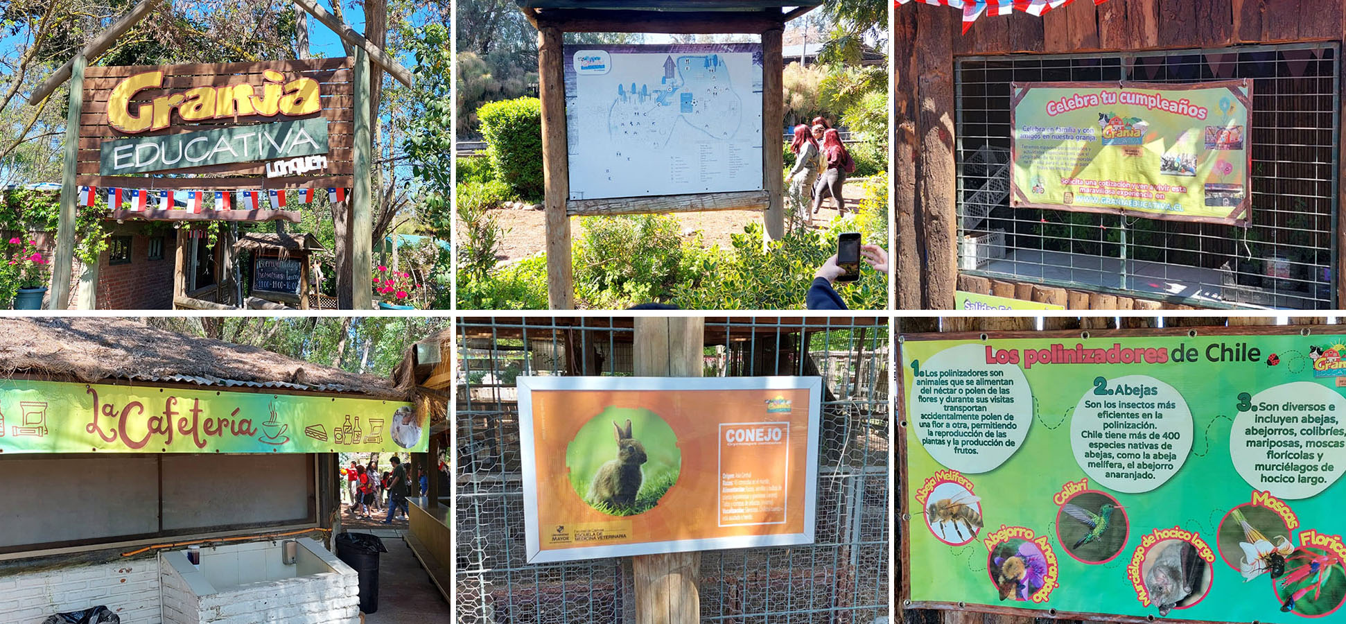 Señalética para Granja Educativa de Lonquén