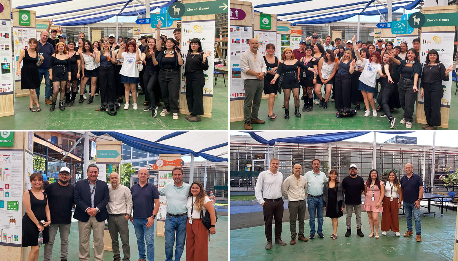 Señalética para Granja Educativa de Lonquén