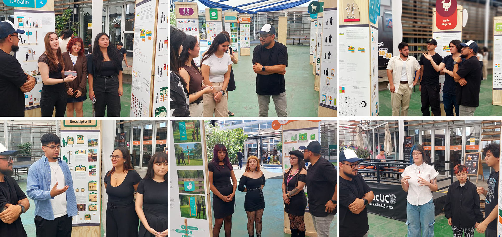 Señalética para Granja Educativa de Lonquén