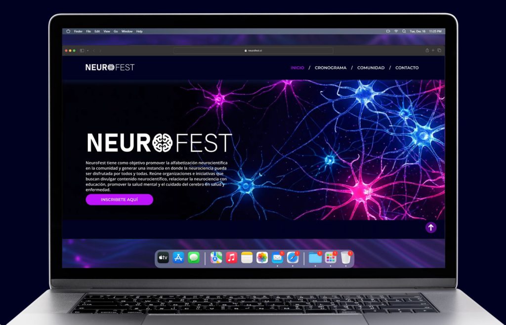 NEUROFEST el Festival de la Neurociencia – Investigación de Usuarios