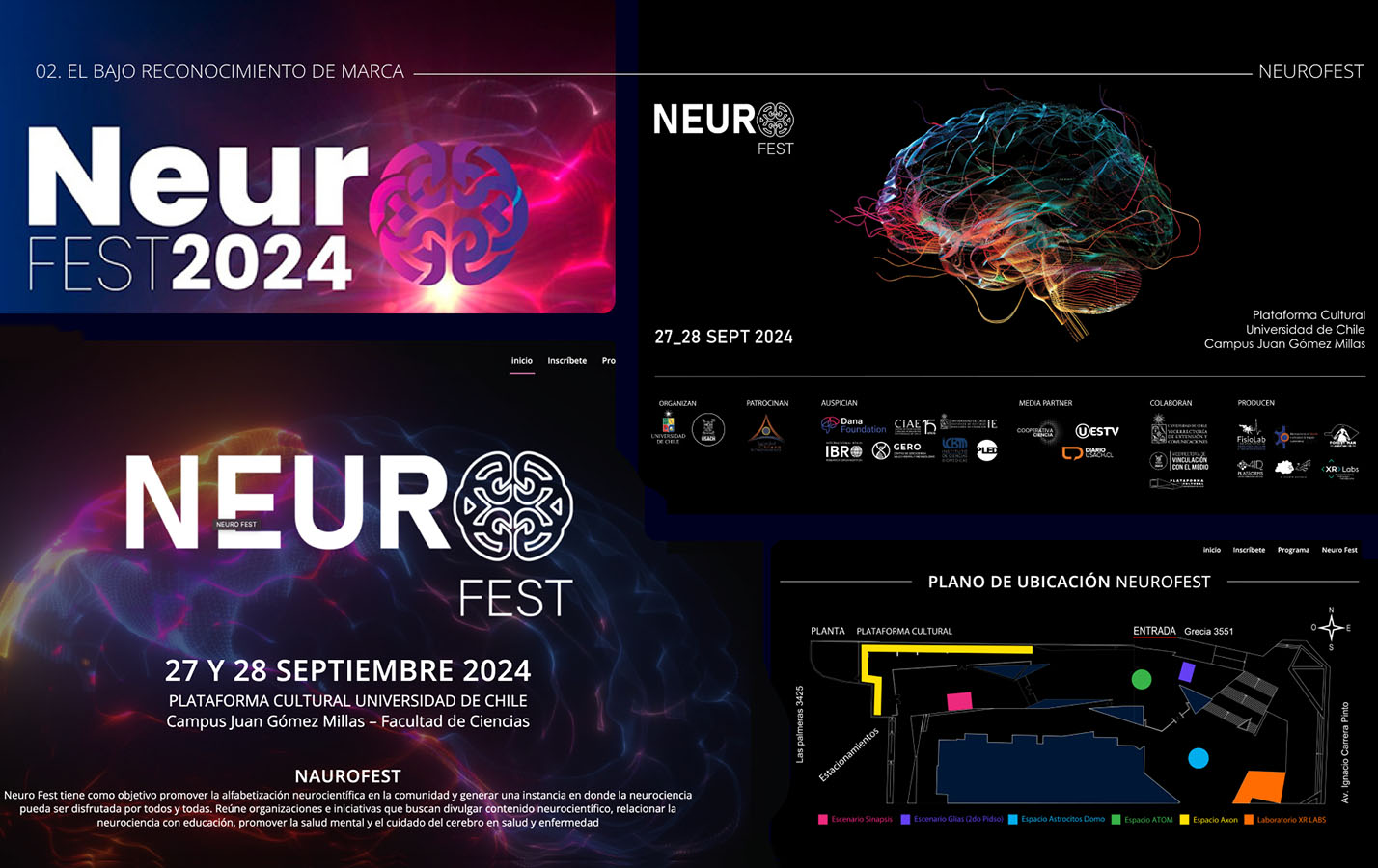 NEUROFEST el Festival de la Neurociencia – Investigación de Usuarios