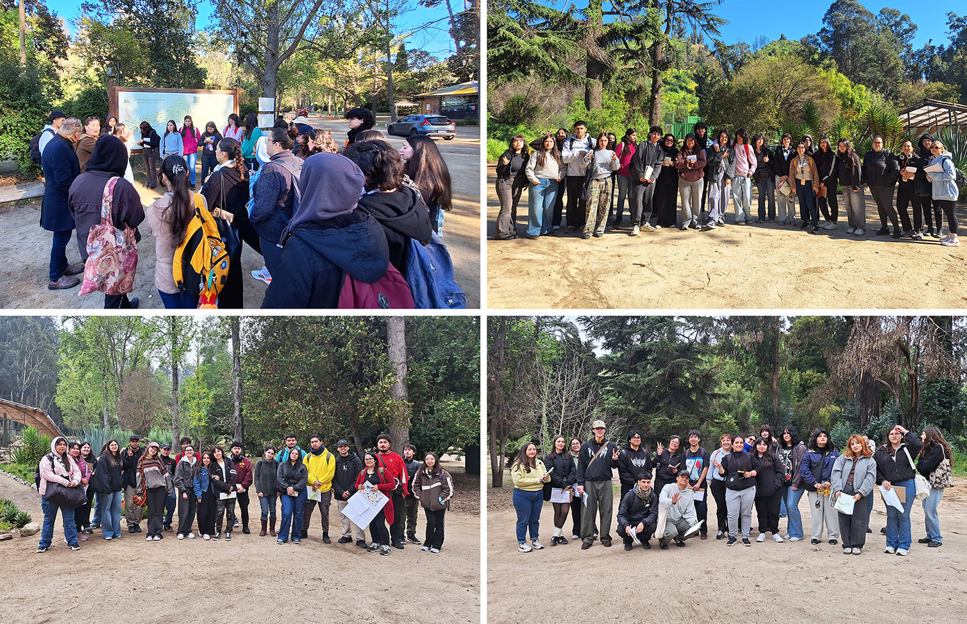 Diseño de Marca + Sistema Señalización Jardín Botánico Nacional Viña del Mar