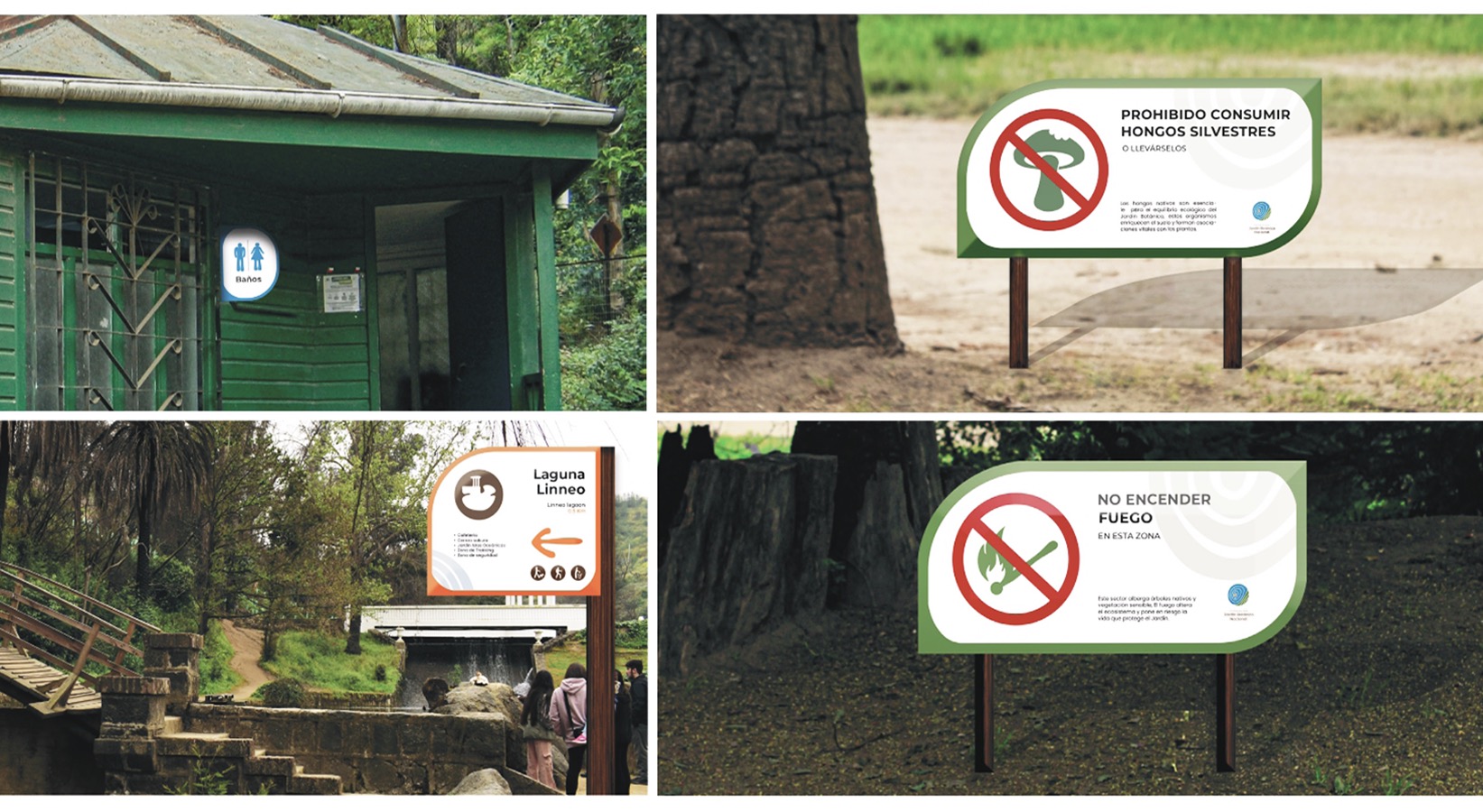 Diseño de Marca + Sistema Señalización Jardín Botánico Nacional Viña del Mar