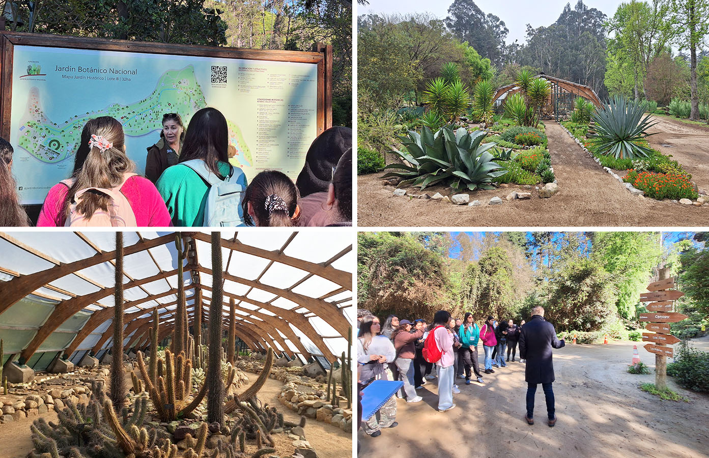Diseño de Marca + Sistema Señalización Jardín Botánico Nacional Viña del Mar