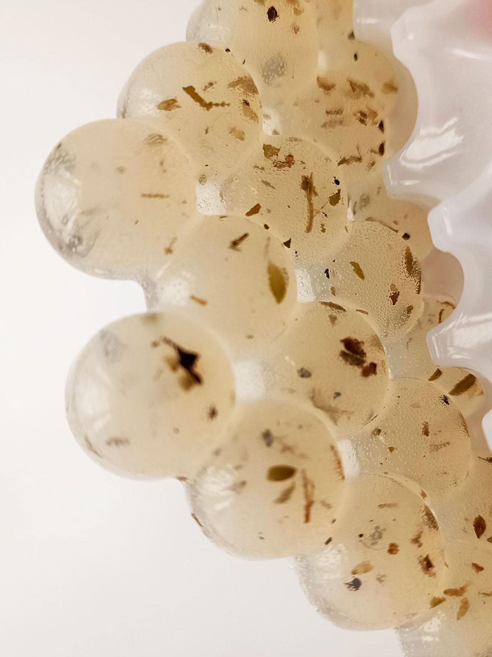 Laboratorio de materiales sustentables