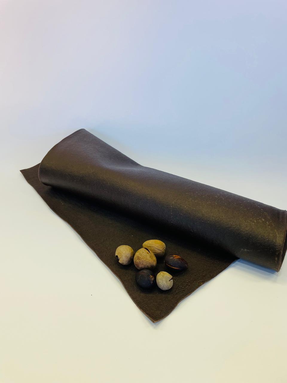 Desarrollo de biocueros a partir de residuos agroindustriales​