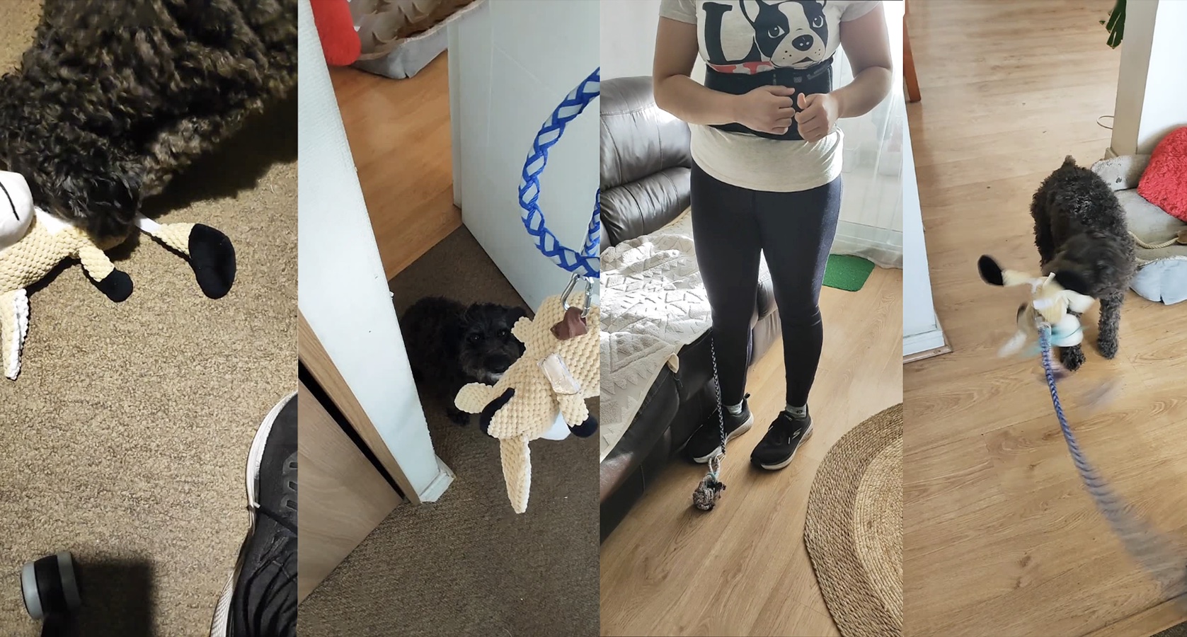 Cuidando al Cuidador de Mascotas en Rehabilitación