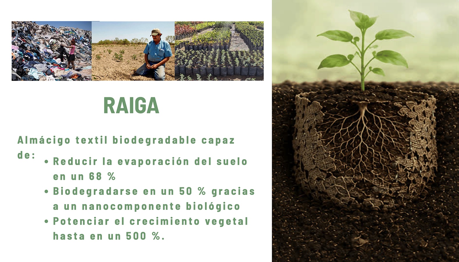 Concurso Innova Sostenible
