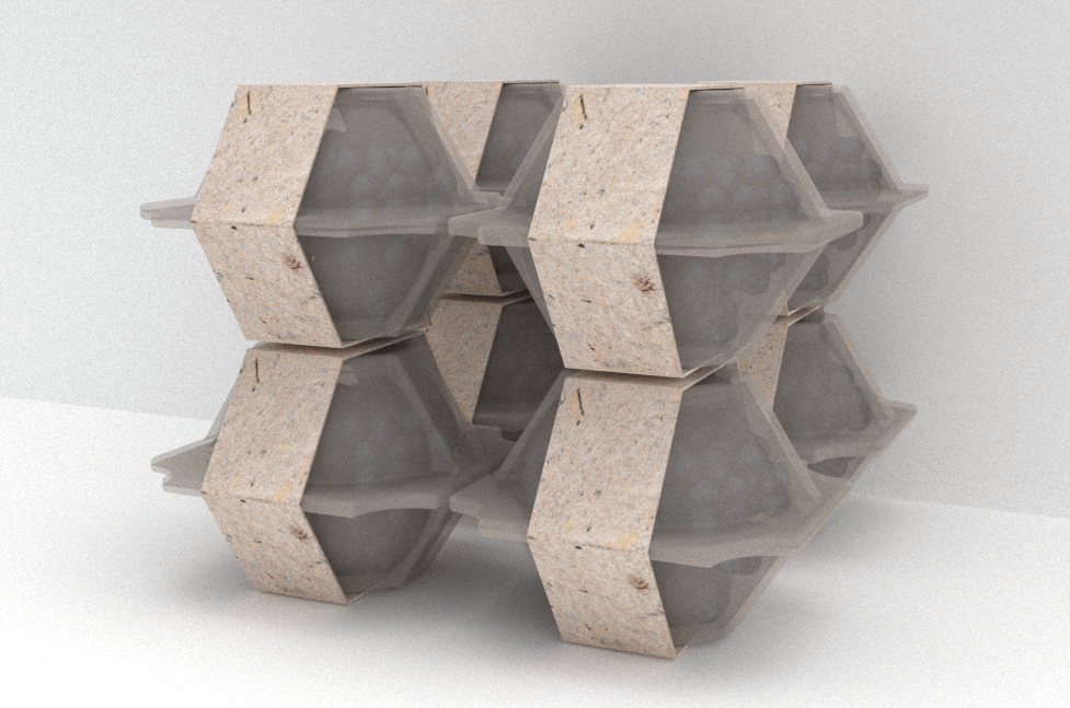 Packaging biodegradable para arandanos