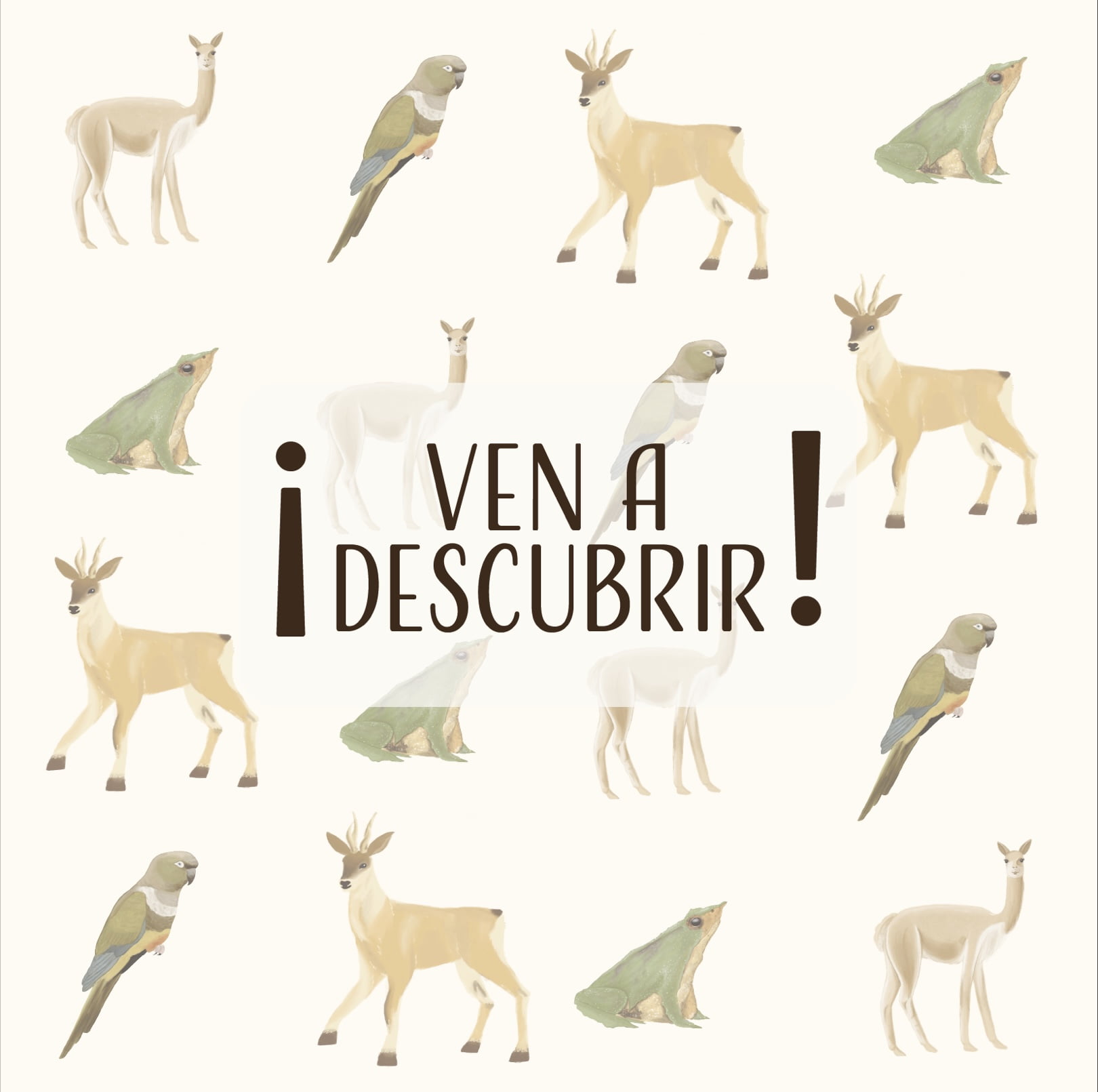 ¡Ven a Descubrir!