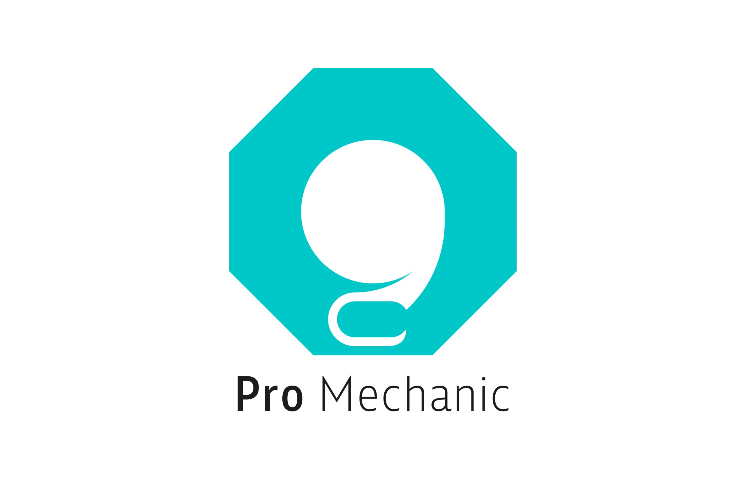 ProMechanic