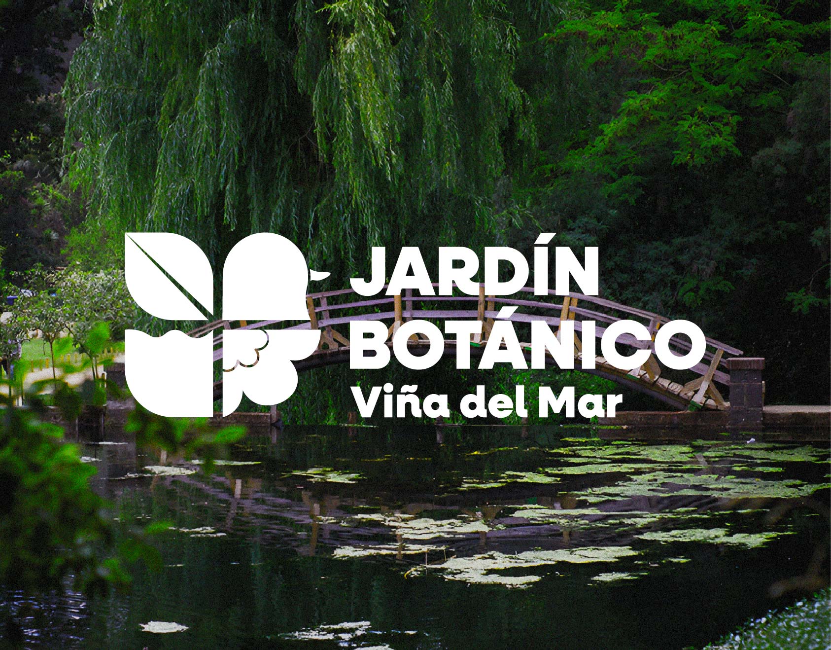 Propuesta de revitalización para el Jardín Botánico de Viña del Mar