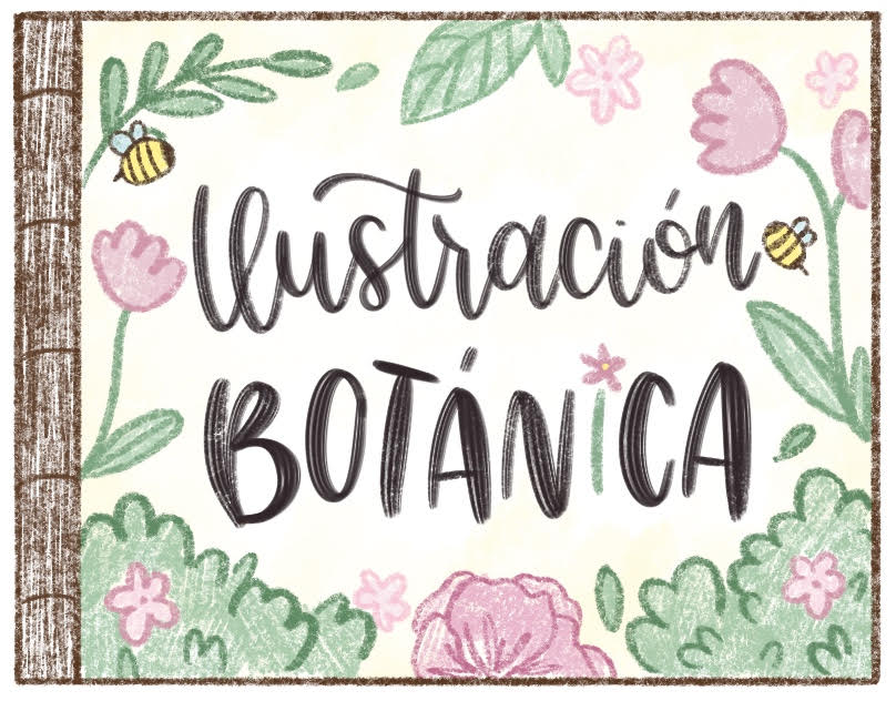 Serie ilustraciones botánicas