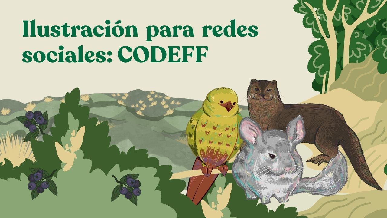 Ilustración para redes sociales: CODEFF