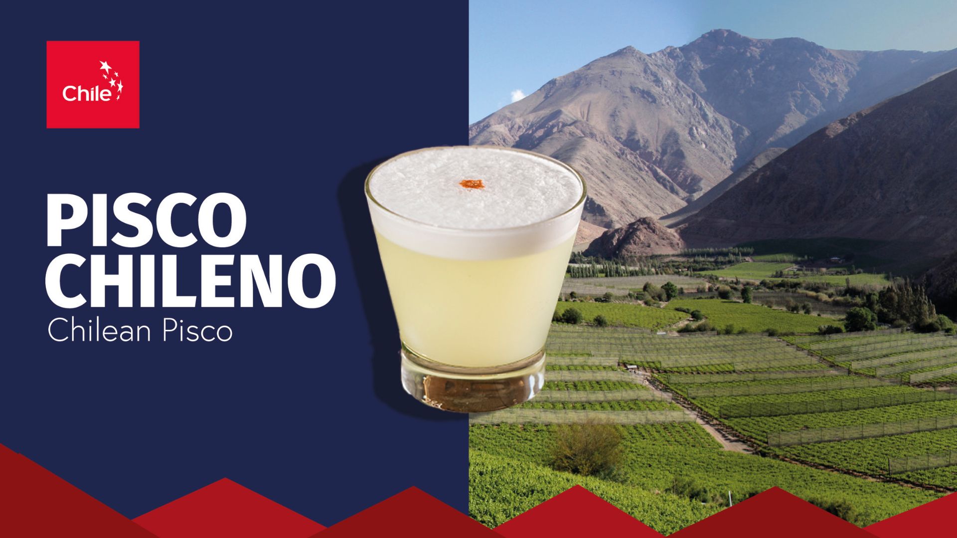 Catálogo del Pisco Chileno