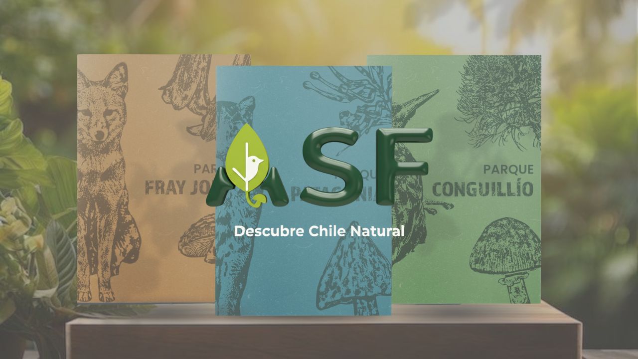Descubre Chile natural