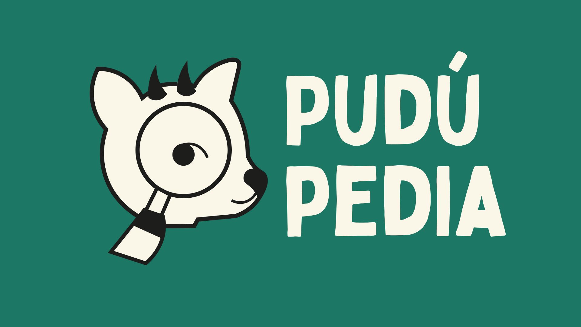 Pudúpedia