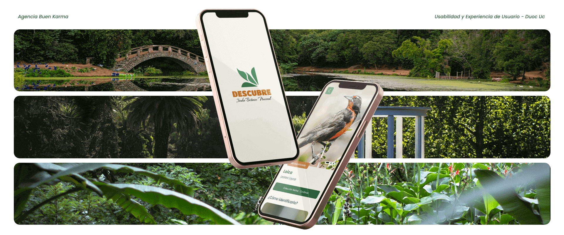 Descubre Jardín Botánico  Nacional