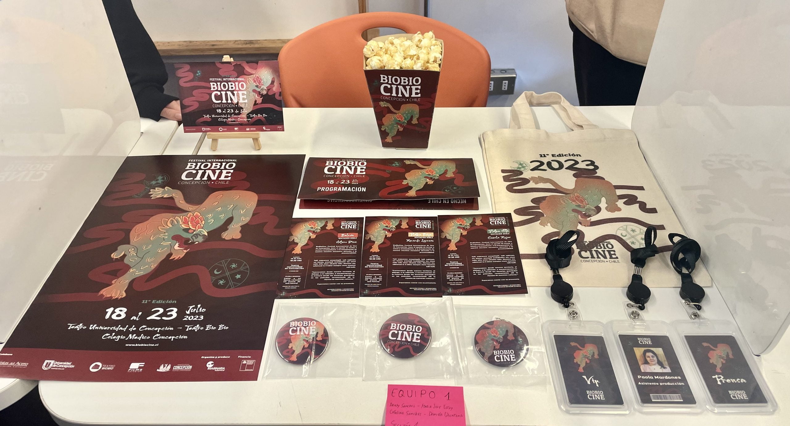 bio bio cine festival